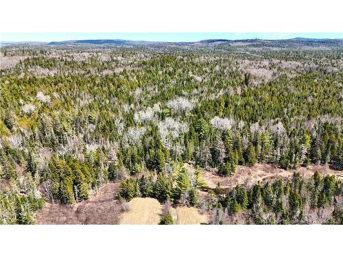 2969 Route 127, Bayside, NB 