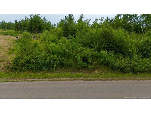 24-4 Route 895, Anagance, NB 