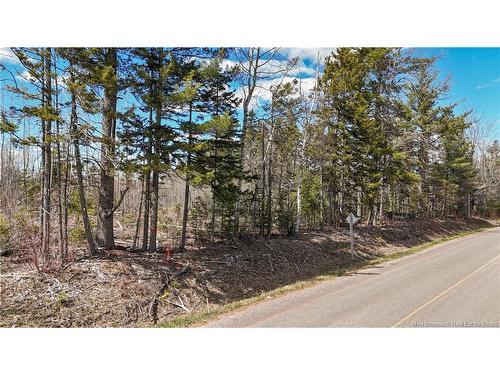 24-4 Route 895, Anagance, NB 