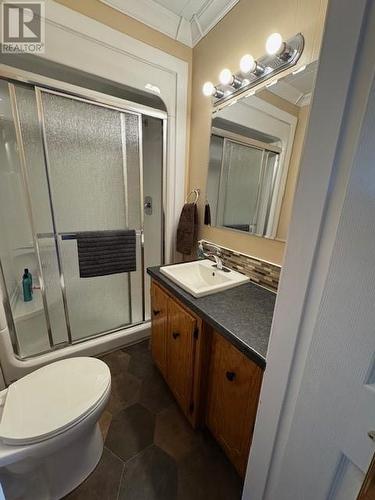 42 Big Bottom Road, Rose Blanche, NL - Indoor Photo Showing Bathroom