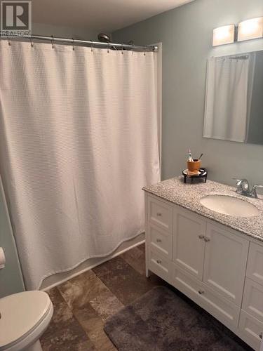 8 Riverloop Crescent, Gander Bay, NL - Indoor Photo Showing Bathroom