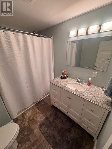 8 Riverloop Crescent, Gander Bay, NL - Indoor Photo Showing Bathroom