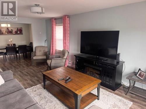 8 Riverloop Crescent, Gander Bay, NL - Indoor Photo Showing Living Room