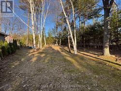 LOT 44 RIVER ROAD E Wasaga Beach, ON L9Z 2R9