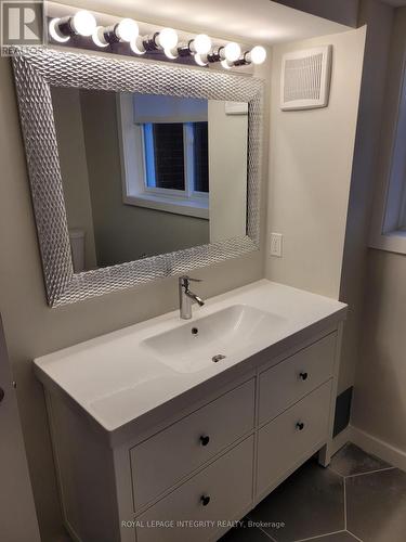 basement apartment large vanity - 2748 Moncton Road, Ottawa, ON - Indoor Photo Showing Bathroom