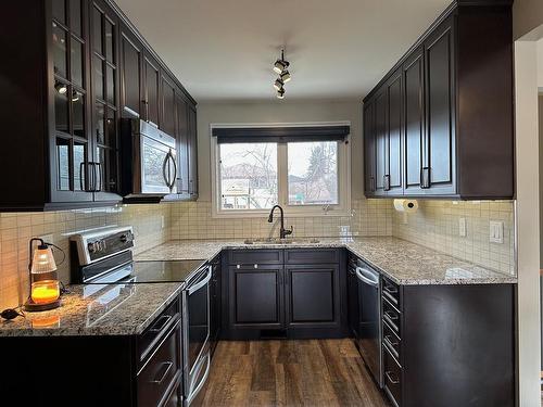537 Parkway Drive, Thunder Bay, ON - Indoor Photo Showing Kitchen With Upgraded Kitchen