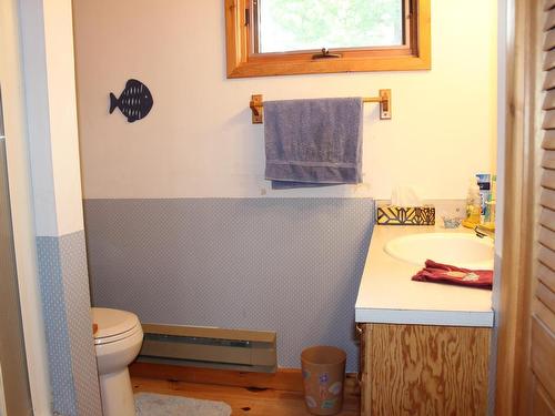 93 Stintzi Dr E, Morson, ON - Indoor Photo Showing Bathroom