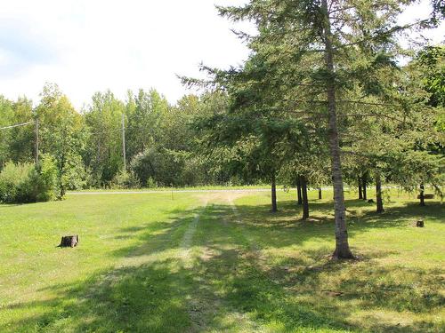 93 Stintzi Dr E, Morson, ON - Outdoor With View