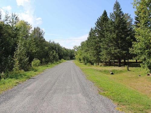 93 Stintzi Dr E, Morson, ON - Outdoor With View
