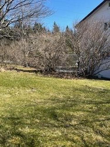 288 Conception Bay Highway, Harbour Main, NL 