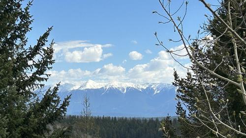 45 Trickle Ridge Place, Kimberley, BC - Outdoor With View