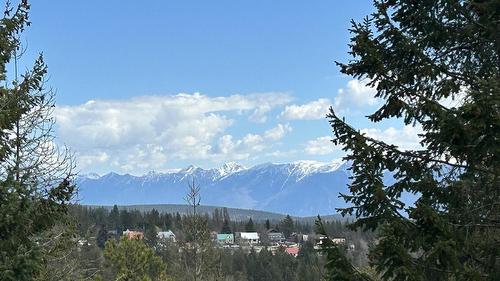 45 Trickle Ridge Place, Kimberley, BC - Outdoor With View