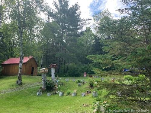 114 Mcnamee Rd, Mcnamee, NB 