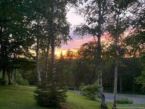 114 Mcnamee Rd, Mcnamee, NB 