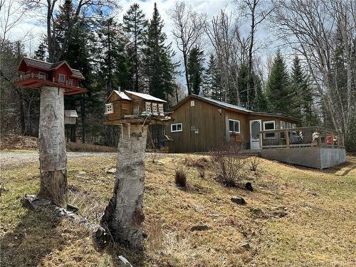 114 Mcnamee Rd, Mcnamee, NB 