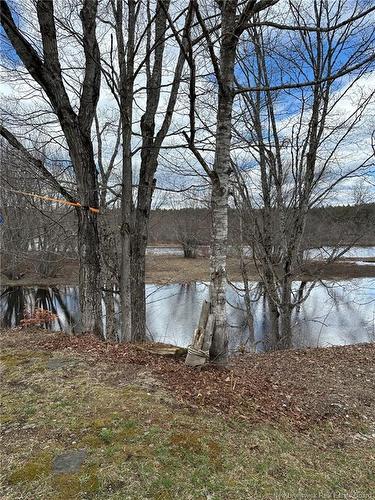 114 Mcnamee Rd, Mcnamee, NB 