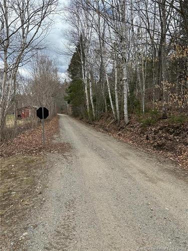 114 Mcnamee Rd, Mcnamee, NB 