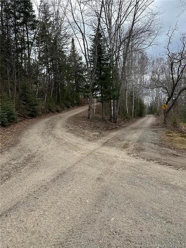 114 Mcnamee Rd, Mcnamee, NB 