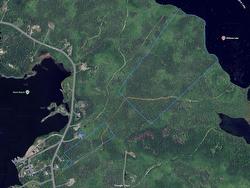 Lots Ostrea Lake Road Ostrea Lake, NS B0J 2L0