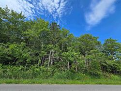 Lot Main Shore Road  North Chegoggin, NS B5A 5H3