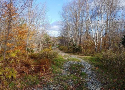 85 Mapleview Drive, North Sydney, NS 