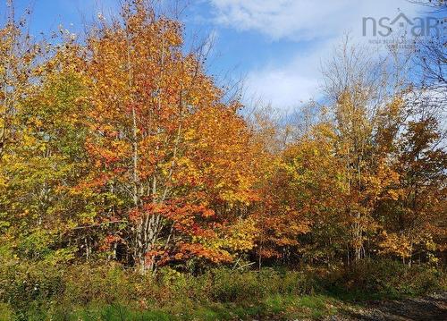 85 Mapleview Drive, North Sydney, NS 
