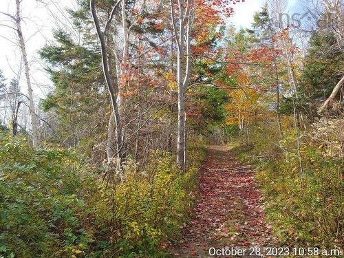 85 Mapleview Drive, North Sydney, NS 