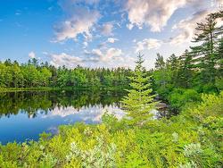 Lot 12, Virginia Road Springhill, NS B0S 1A0