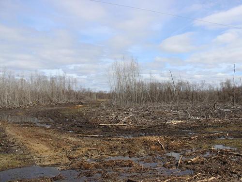 360 River Rd, Rainy River, ON 