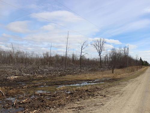 360 River Rd, Rainy River, ON 