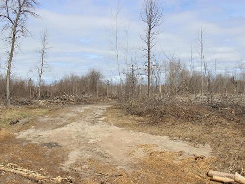 360 River Rd, Rainy River, ON 