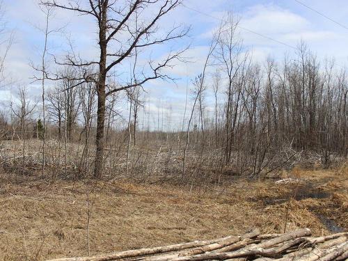 360 River Rd, Rainy River, ON 