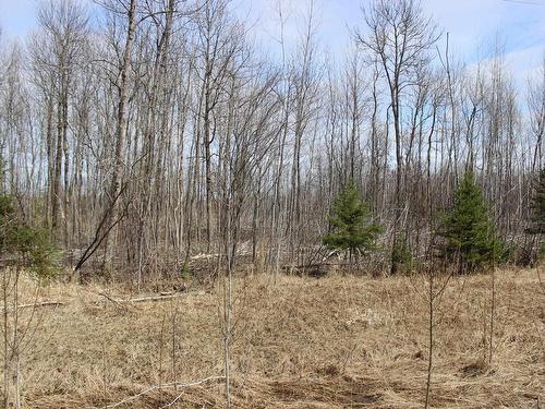 360 River Rd, Rainy River, ON 