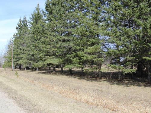 360 River Rd, Rainy River, ON 
