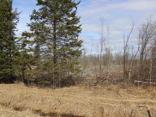 360 River Rd, Rainy River, ON 