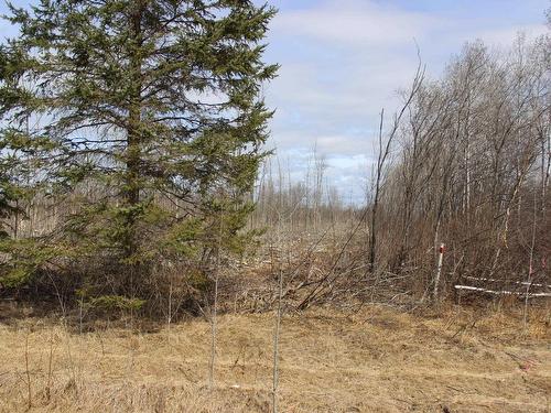 360 River Rd, Rainy River, ON 