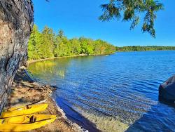 50 Andrew Lake Road Laconia, NS B4V 5W2