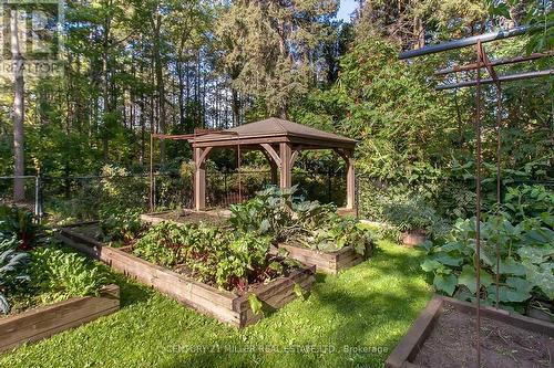2602 No 2 Side Road, Burlington, ON - Outdoor With Backyard