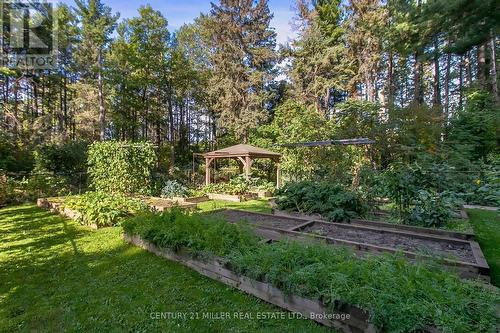 2602 No 2 Side Road, Burlington, ON - Outdoor