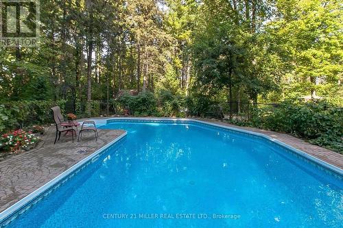 2602 No 2 Side Road, Burlington, ON - Outdoor With In Ground Pool With Backyard