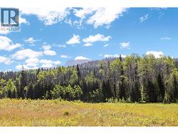 LOT 1 LITTLE FORT 24 HIGHWAY Bridge Lake, BC V0K 1E0