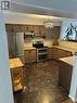 11 Great Oak Private, Ottawa, ON  - Indoor Photo Showing Kitchen With Stainless Steel Kitchen 