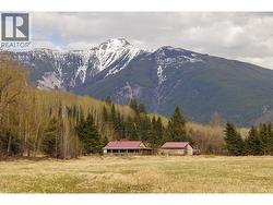 3563 HINKELMAN ROAD Mcbride, BC V0J 2E0