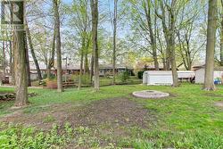 Backyard - 