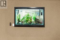 Built in Aquarium - 