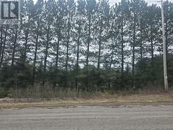 Lot 7 Laurin Road West Nipissing, ON P0M 2M0