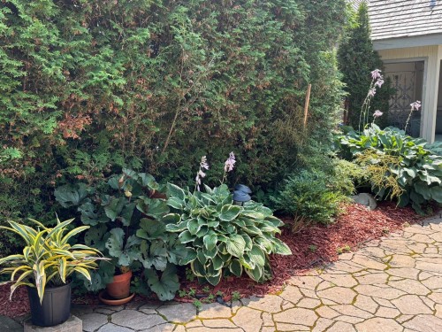 Cour - 9 Av. Chassé, Kamouraska, QC - Outdoor