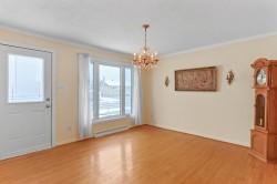 Salon - 