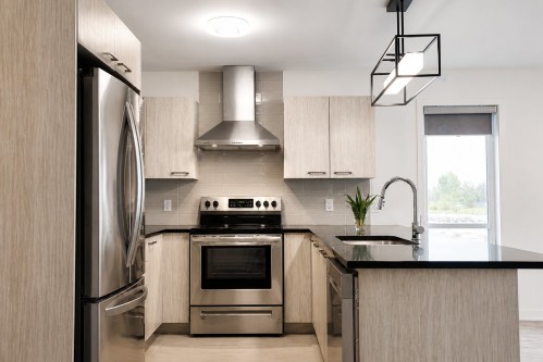 Cuisine - 4-6100 Rue De Champagnier, Brossard, QC - Indoor Photo Showing Kitchen With Upgraded Kitchen
