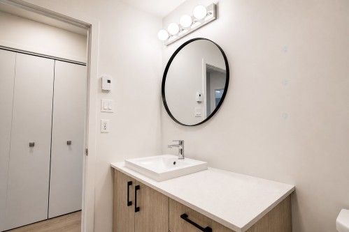 Salle de bains - 4-6100 Rue De Champagnier, Brossard, QC - Indoor Photo Showing Bathroom